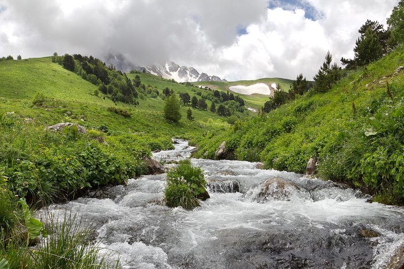 Цицаphoto preview