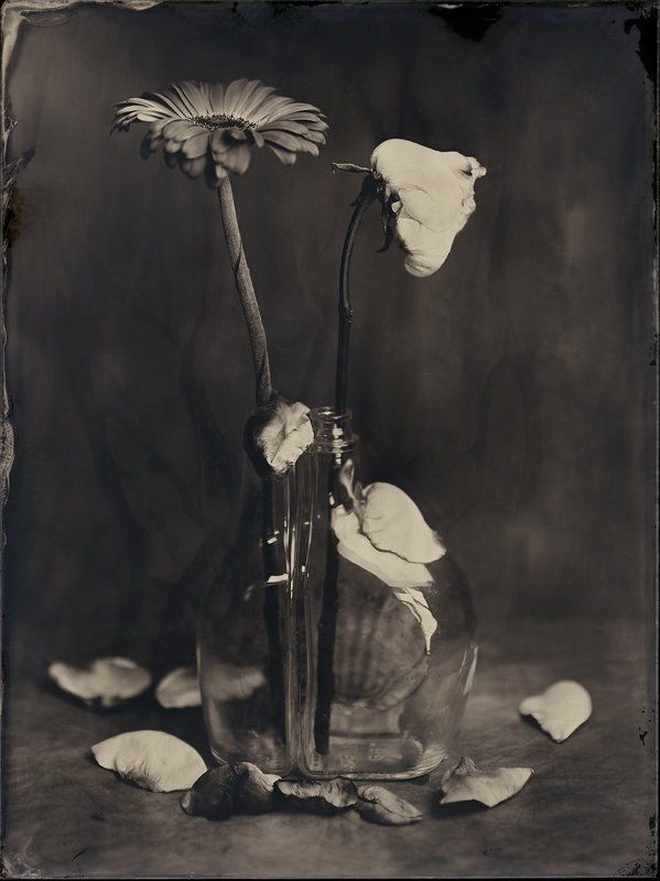 ambrotype, амбротип *photo preview