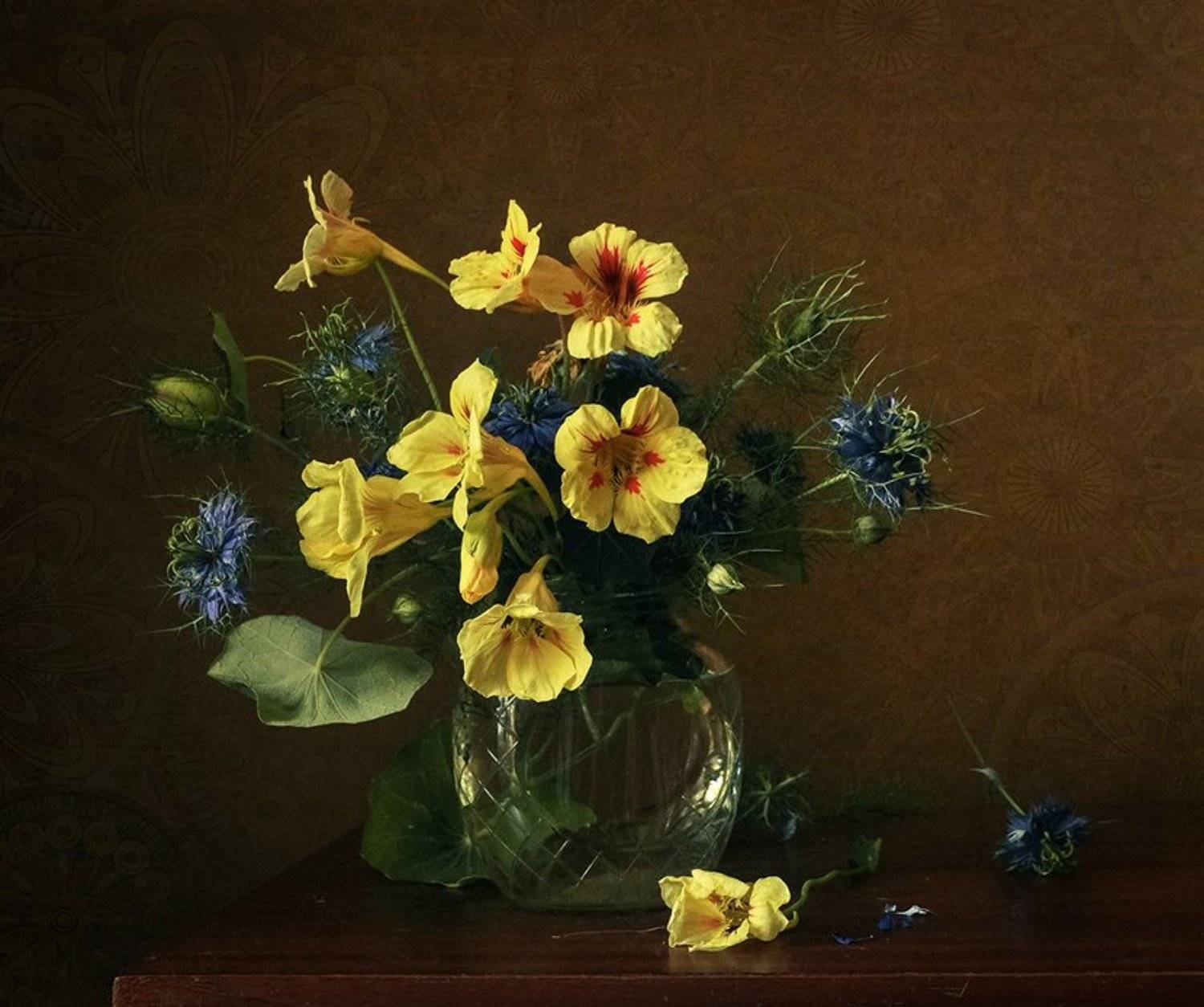 , Зоя Сорока