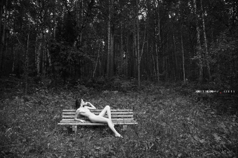 Enervationphoto preview