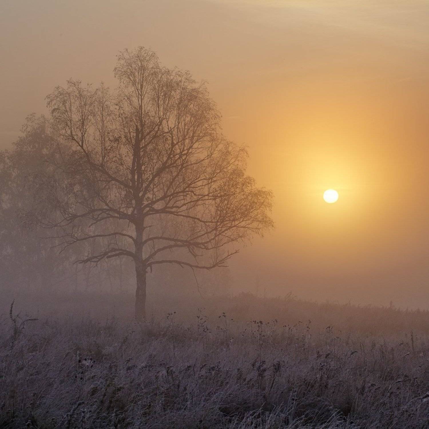 , Данил Ромодин