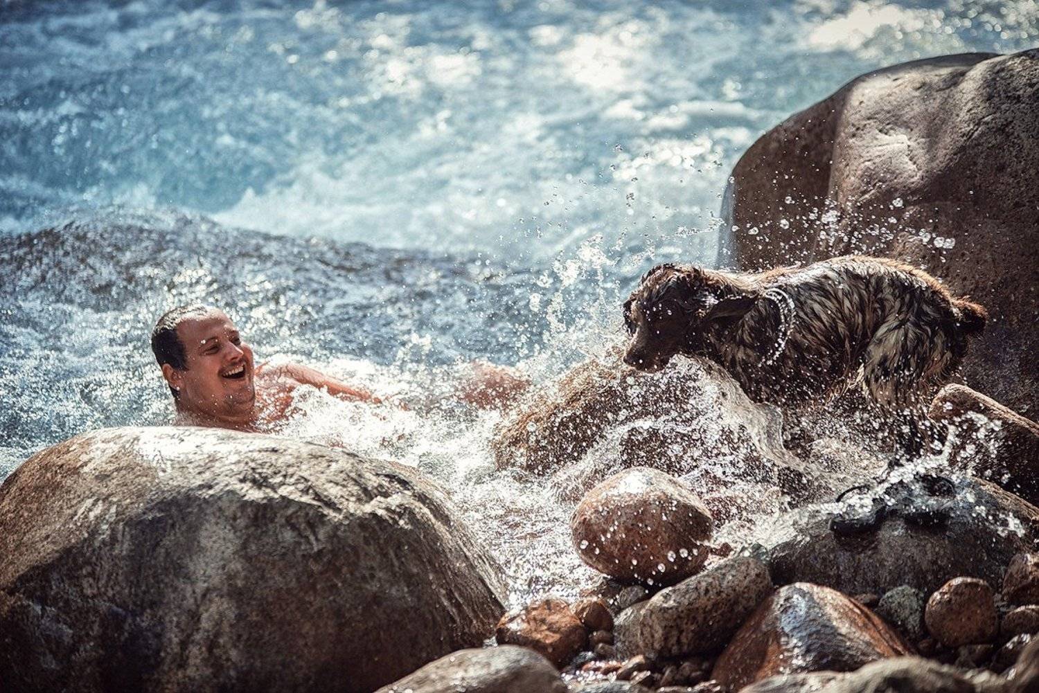 Автор: Карпов Александр Брызги, Купание, Купания, Речка, Собака, Карпов Александр