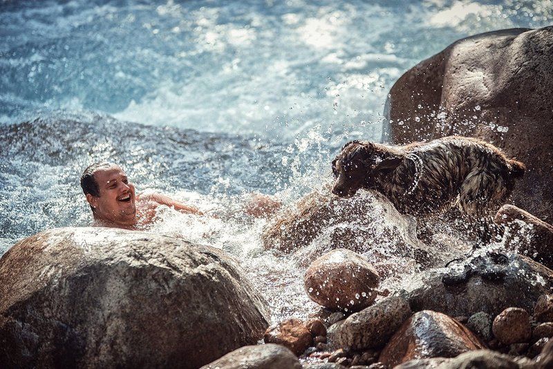 Брызги, Купание, Купания, Речка, Собака photo preview