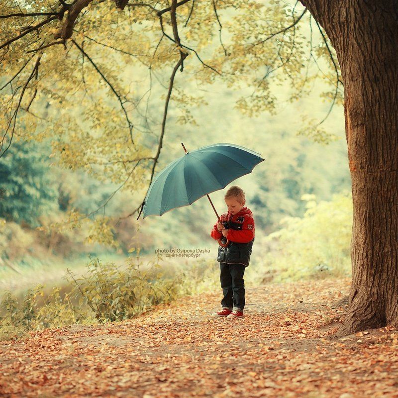 осень пришлаphoto preview