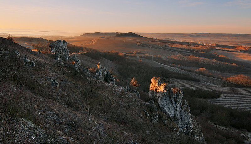 cold morningphoto preview