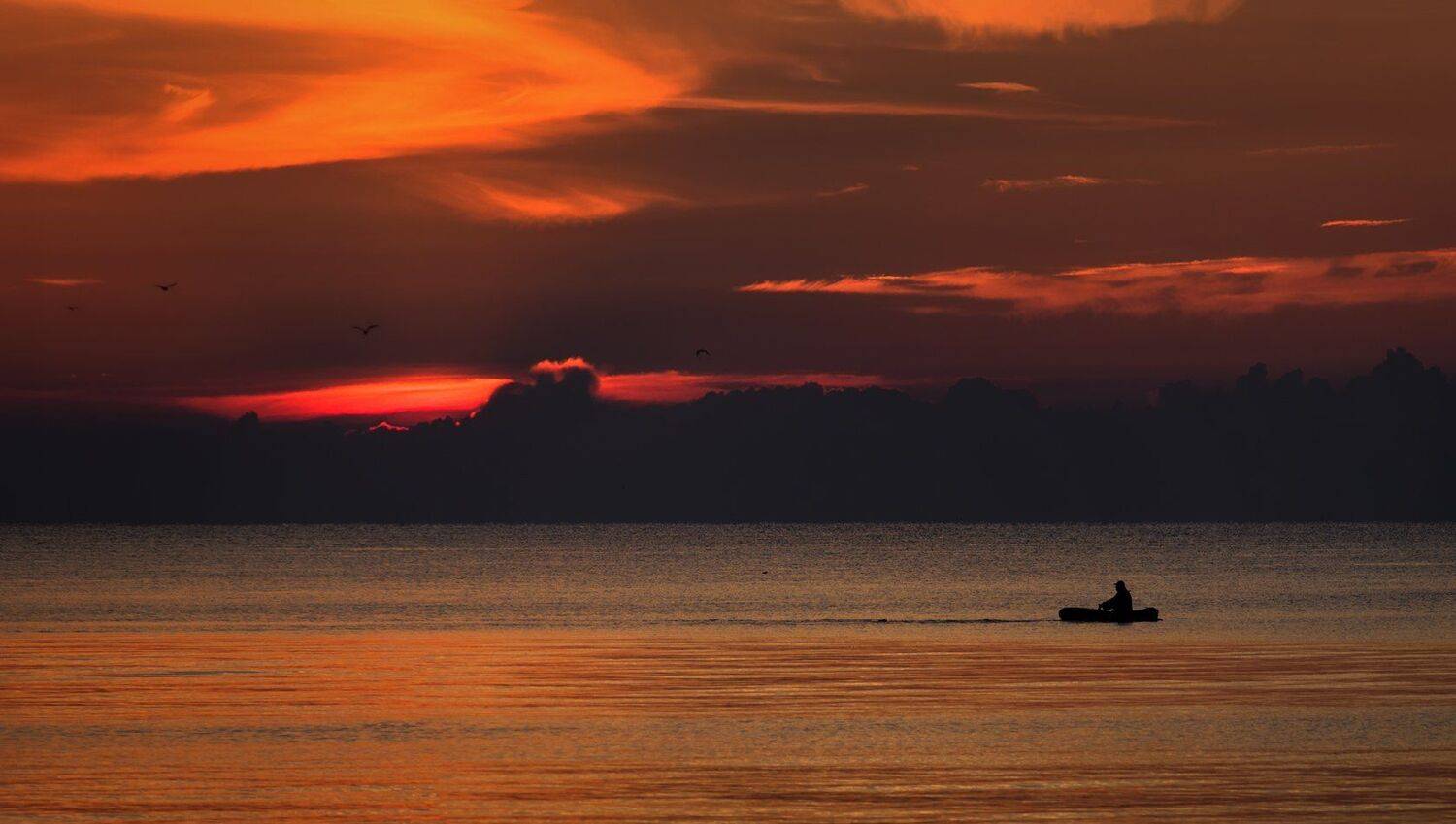 Навстречу утренней заре.... Автор: Игорь Мелекесцев , Игорь Мелекесцев