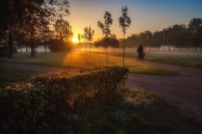 Светлый путьphoto preview