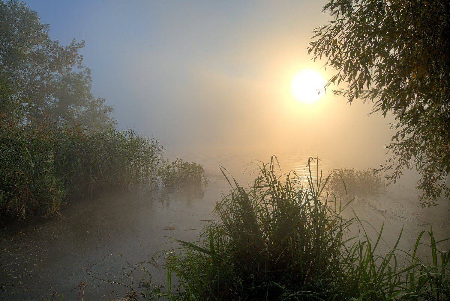 , Юрий Клюшкин