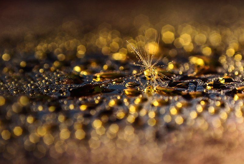 Частицы золотаphoto preview