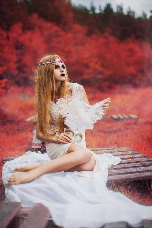 Another talephoto preview