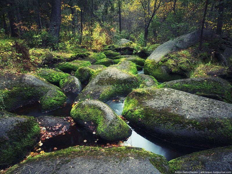 река, камни, лес Соколиный камень фото превью