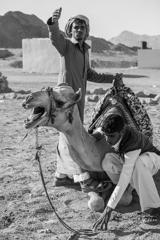 Когда катают не тебя,а на тебе фото превью