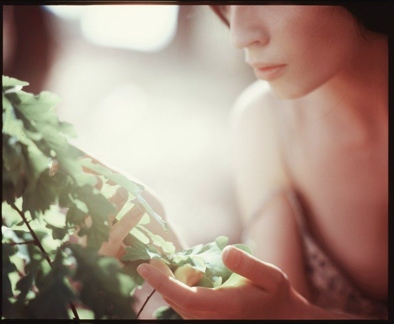 In the forest...photo preview