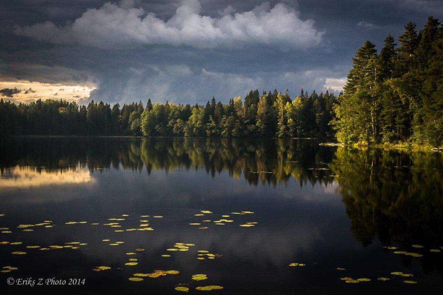 Автор: Eriks Zilbalodis , Eriks Zilbalodis