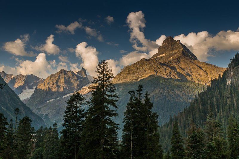 Белалакая.photo preview