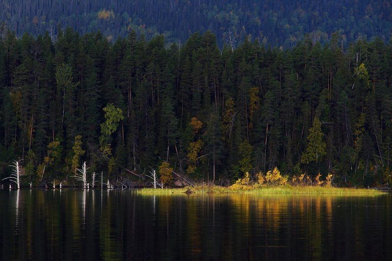 Золотой островphoto preview