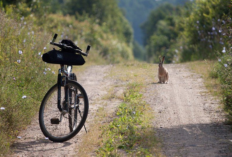 Security...photo preview