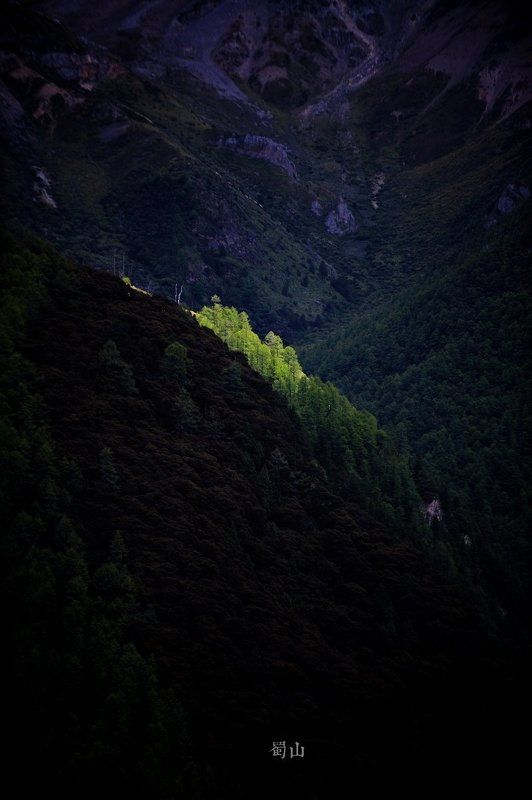 Шушанphoto preview