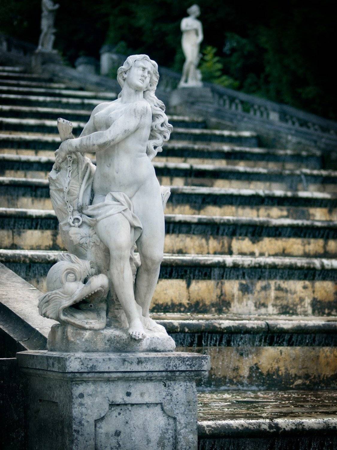 , роман фарберов