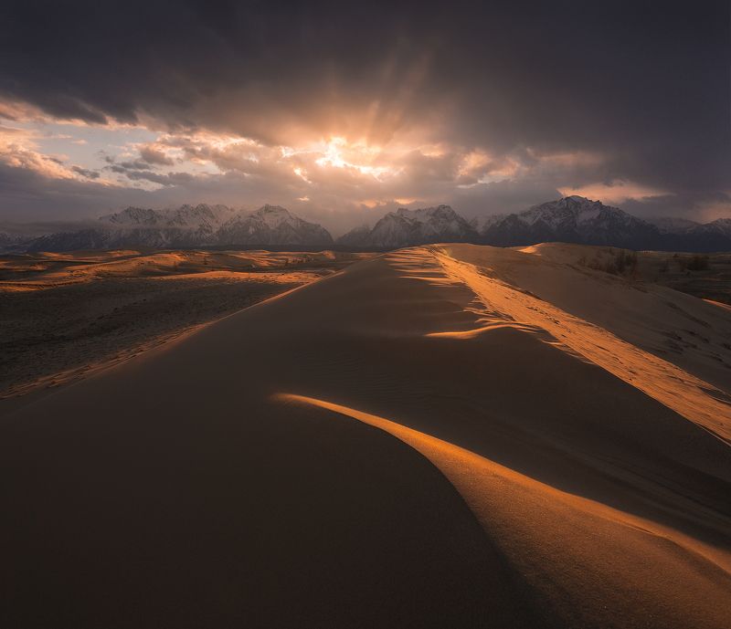забайкалье, чара, пустыня, чарская пустыня, бархан, дюна, закат Чарская пустыняphoto preview