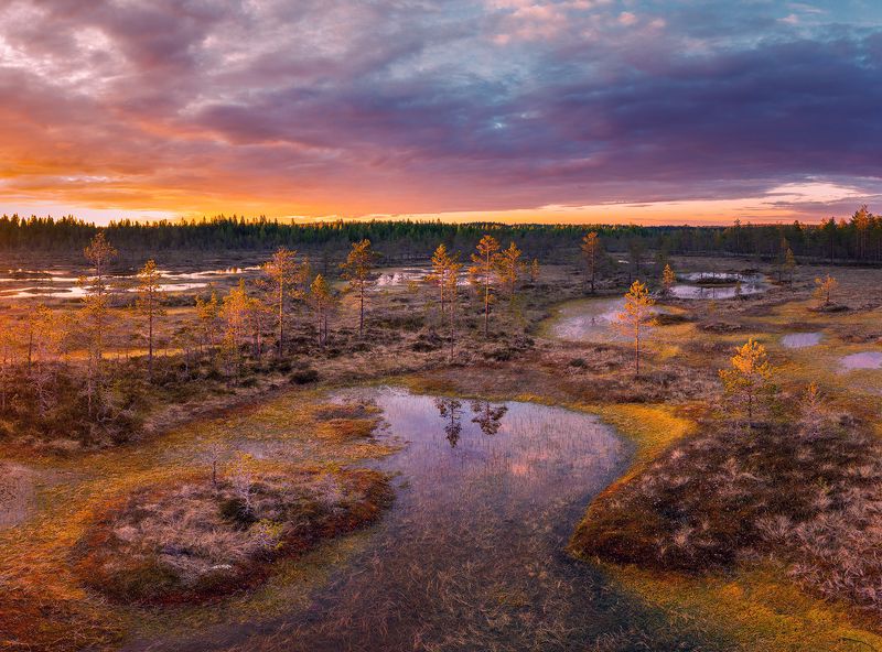 swamp, sunset, summer Июньский закат на болотеphoto preview