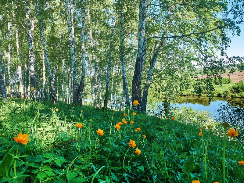 Ну вот и лето.photo preview