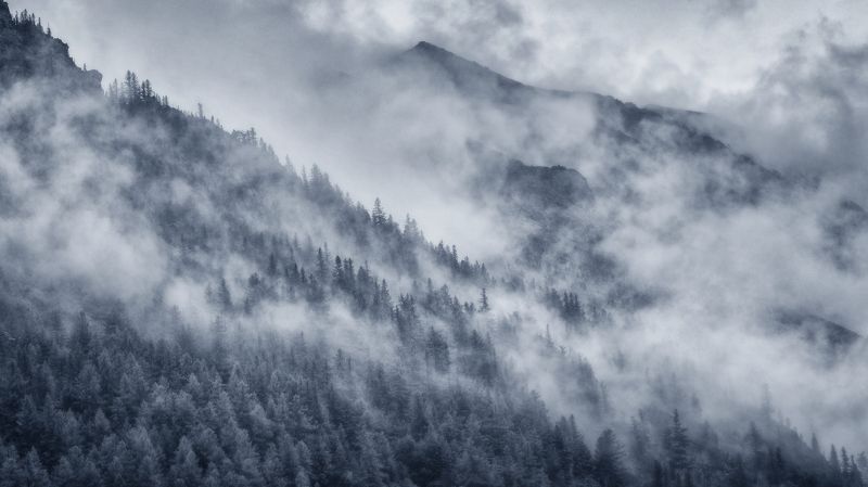 алтай, озеро, горы, лес, природа, закат, рассвет, красота, приключения, путешествие Окутало горы туманомphoto preview