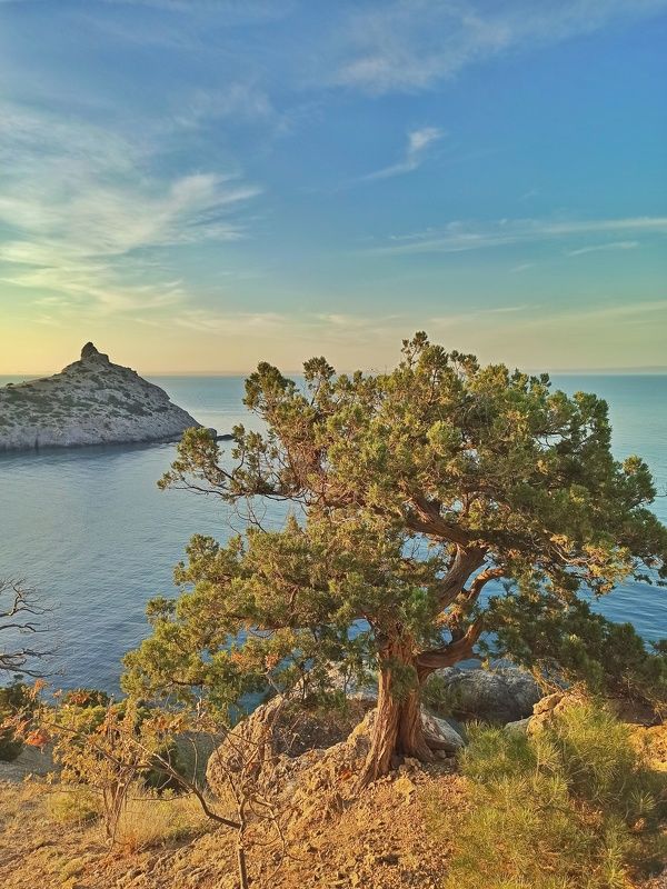 крым, пейзаж, лето, море Мыс Капчик. Новый Свет. Крым.photo preview