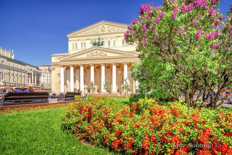 большой театр, город, москва, сирень Весна у Большого театраphoto preview