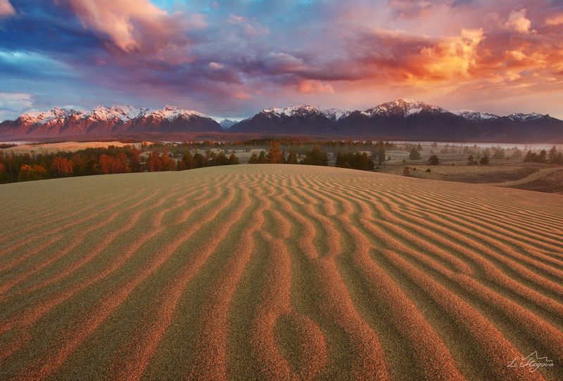 пустыня Моя любимая пустныяphoto preview