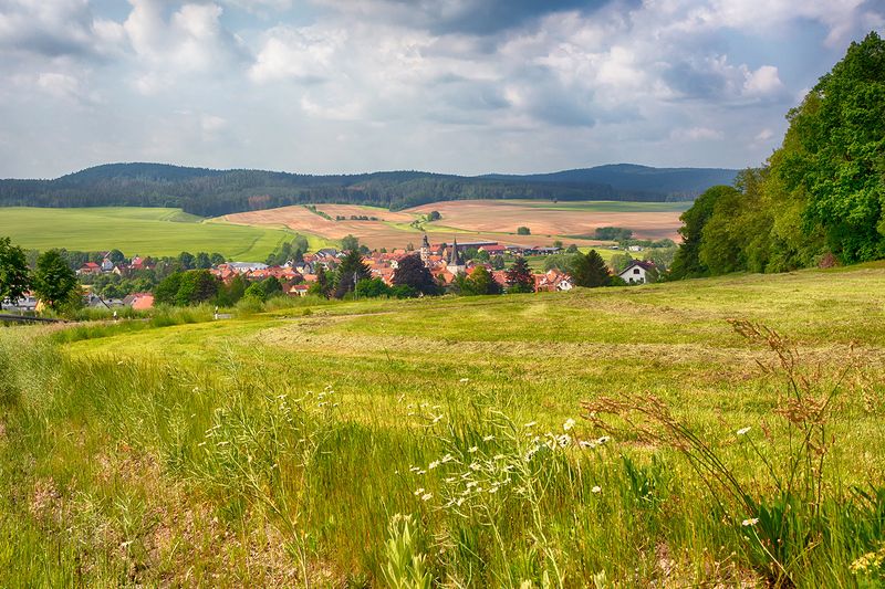 Лето началось фото превью