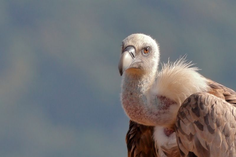 Задумалсяphoto preview