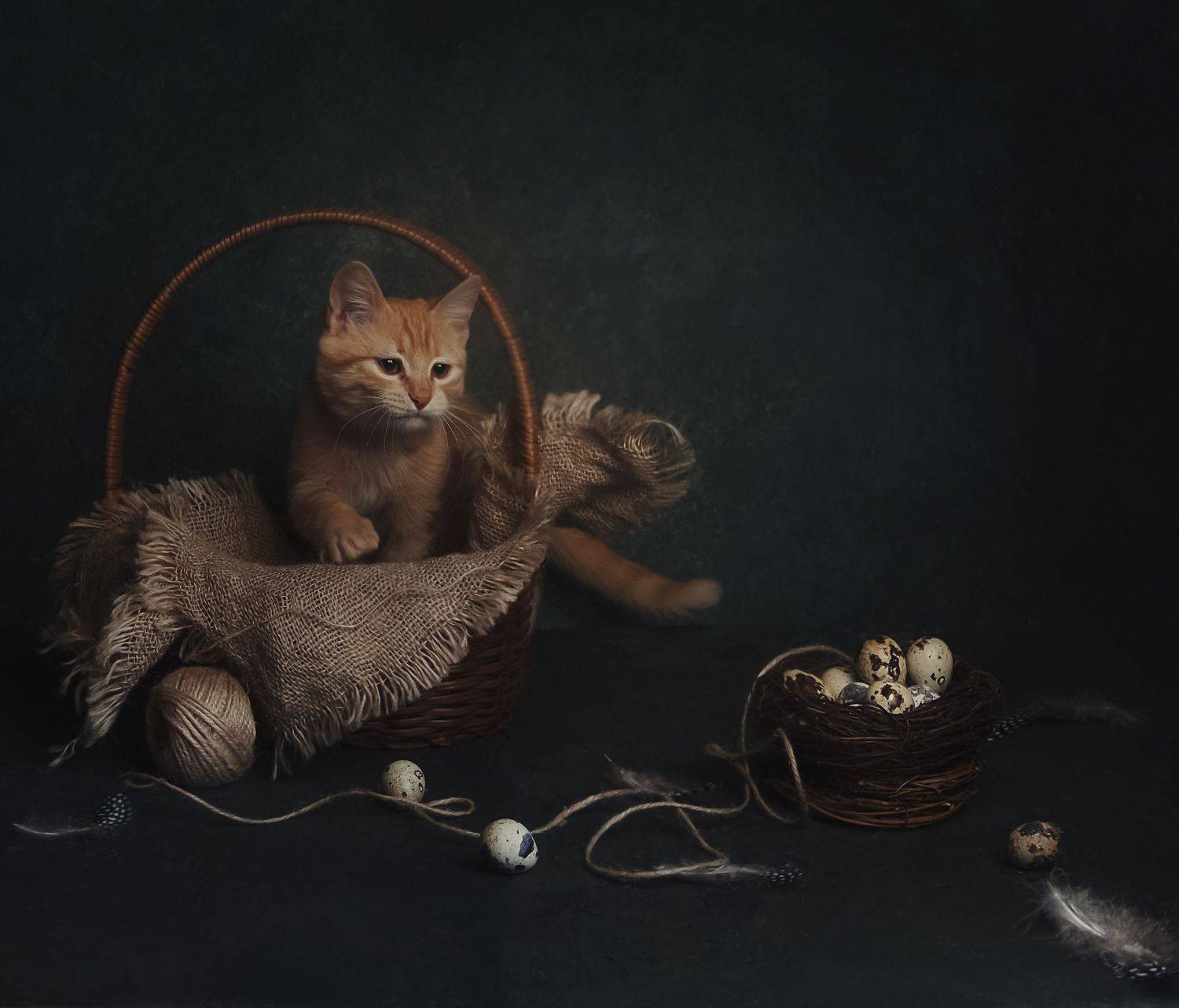 Автор: Виктория Шаманова , Виктория Шаманова