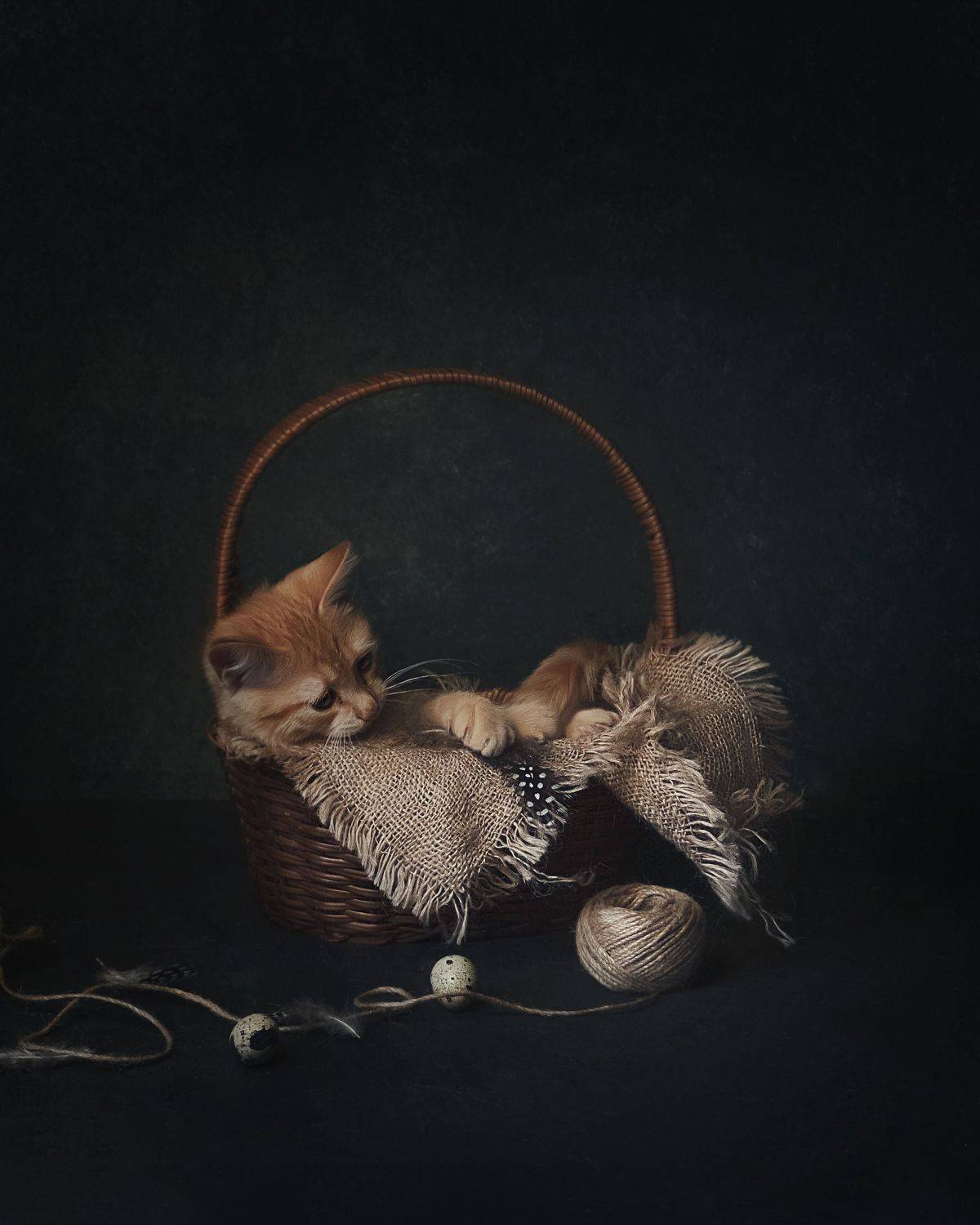 , Виктория Шаманова