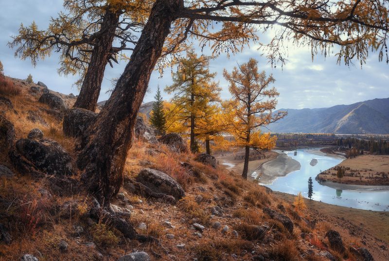 Аргут, Алтай ***photo preview