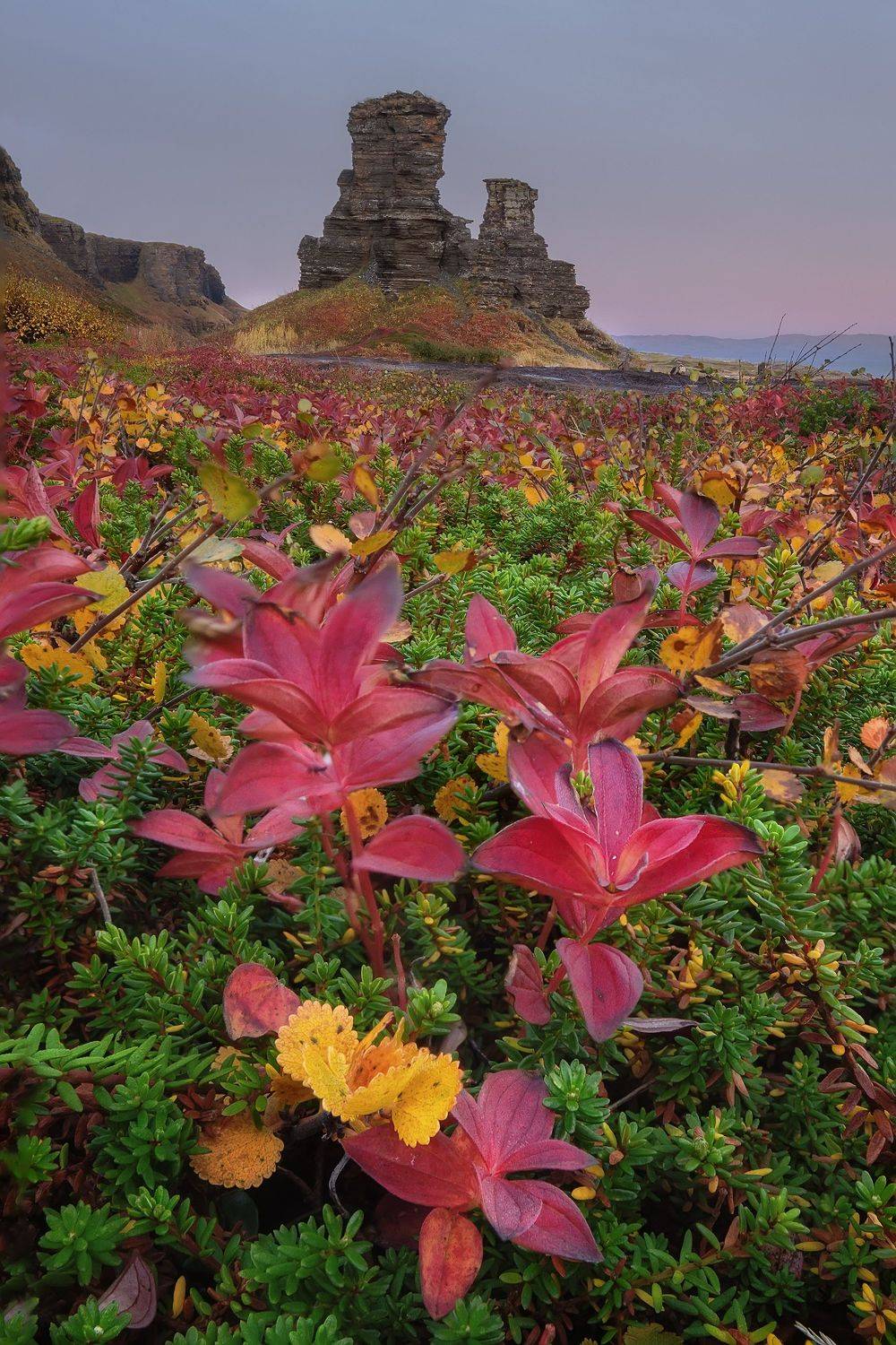 Два Брата. Автор: Константин Маланин , Константин Маланин