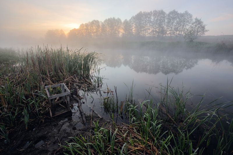 Июнь раннийphoto preview