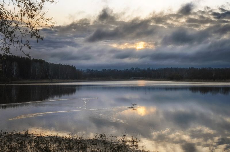 утро, залив, восход Из серии \