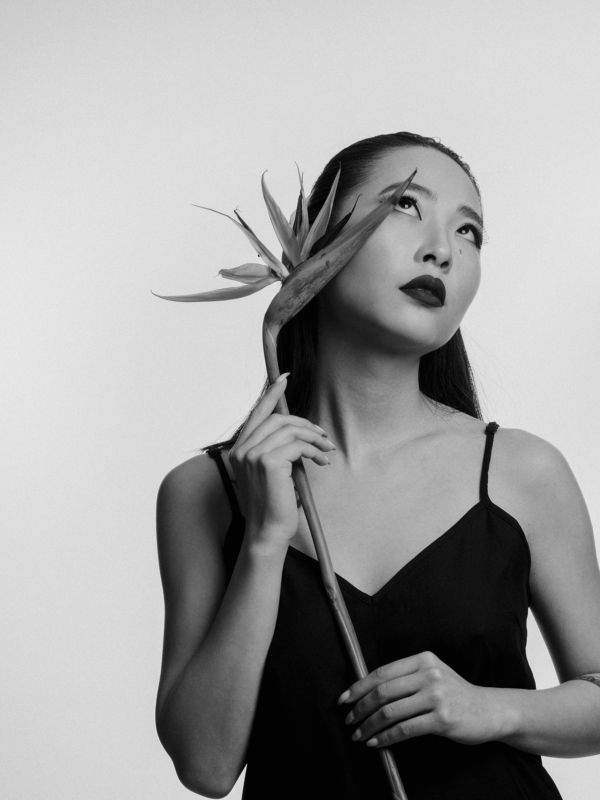 Стрелицияphoto preview