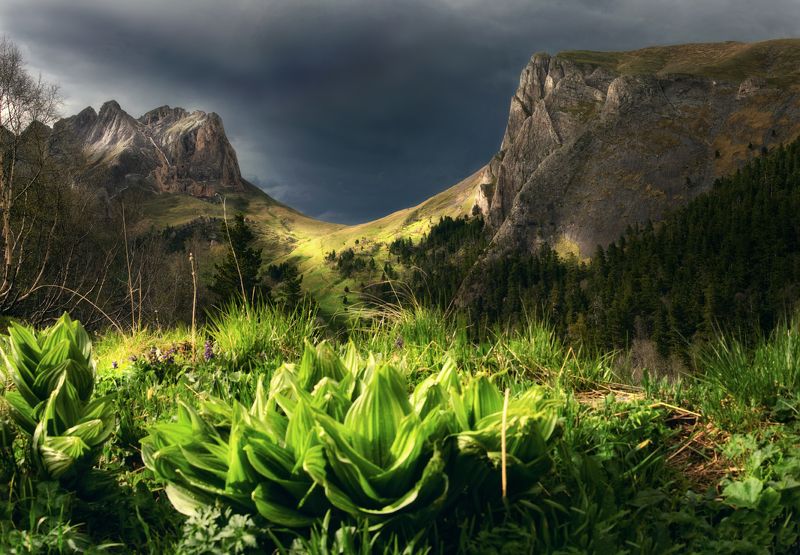 Воротиныphoto preview