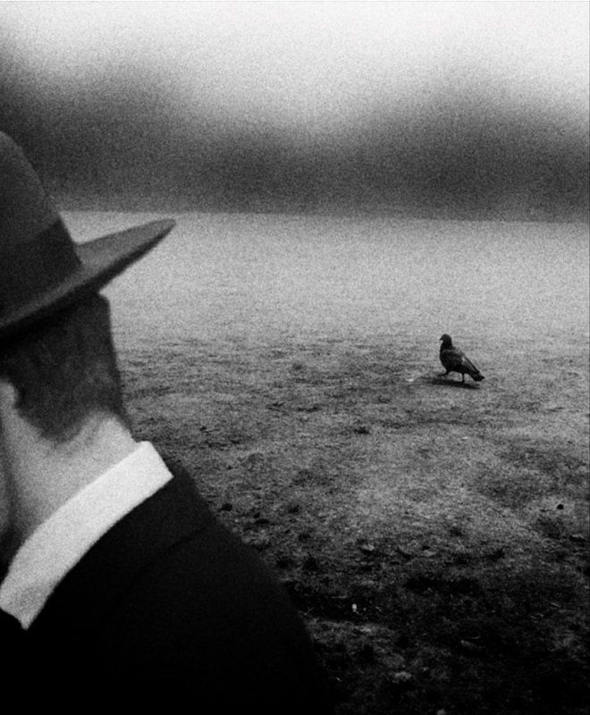 #blackandwhitephotography photo preview