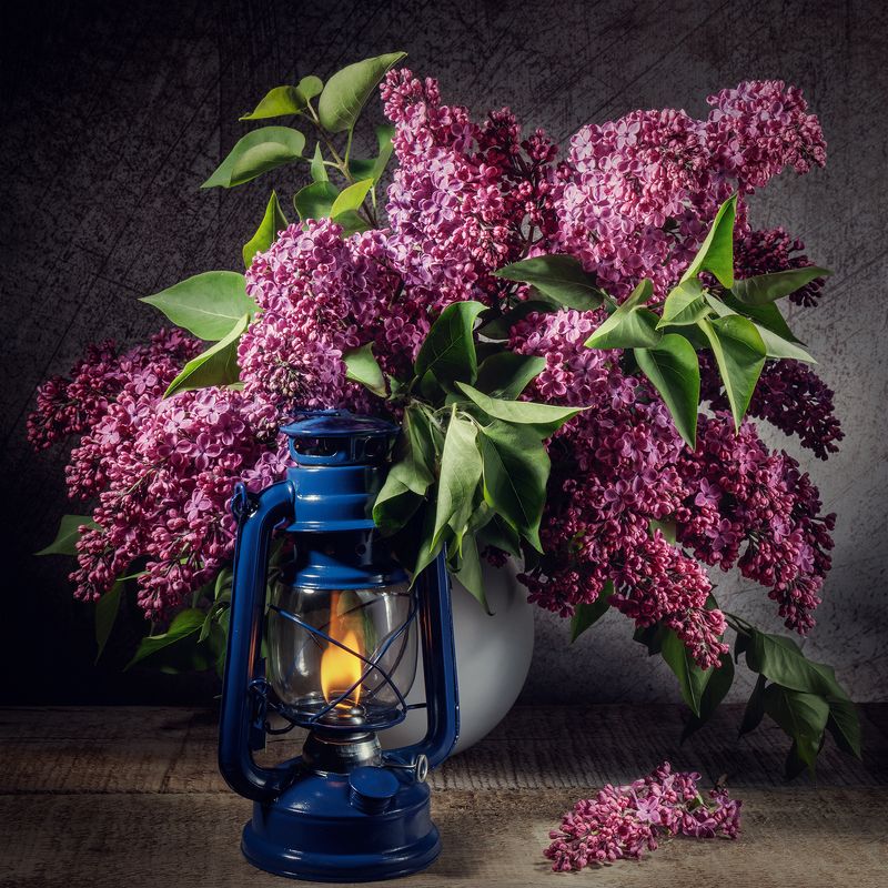 Сиреньphoto preview