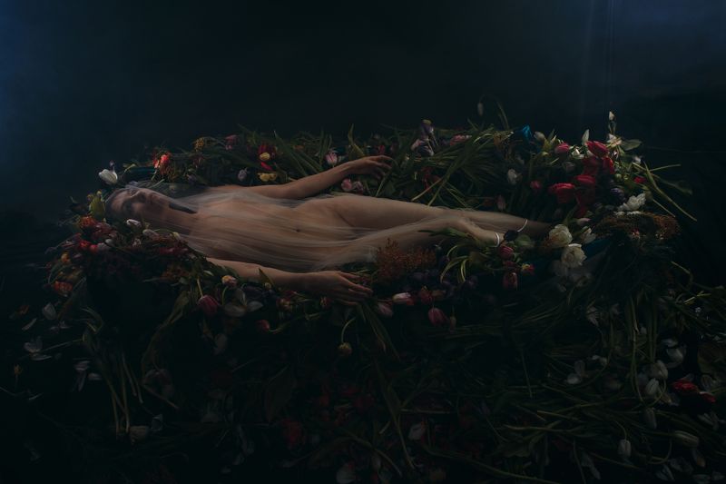 цветы, офелия, никитин, nikitin Офелияphoto preview