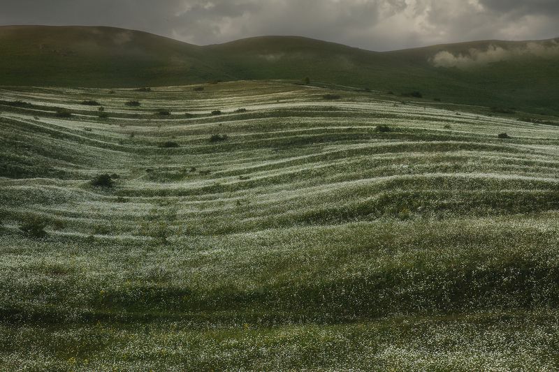 Цветочные холмы Арменииphoto preview