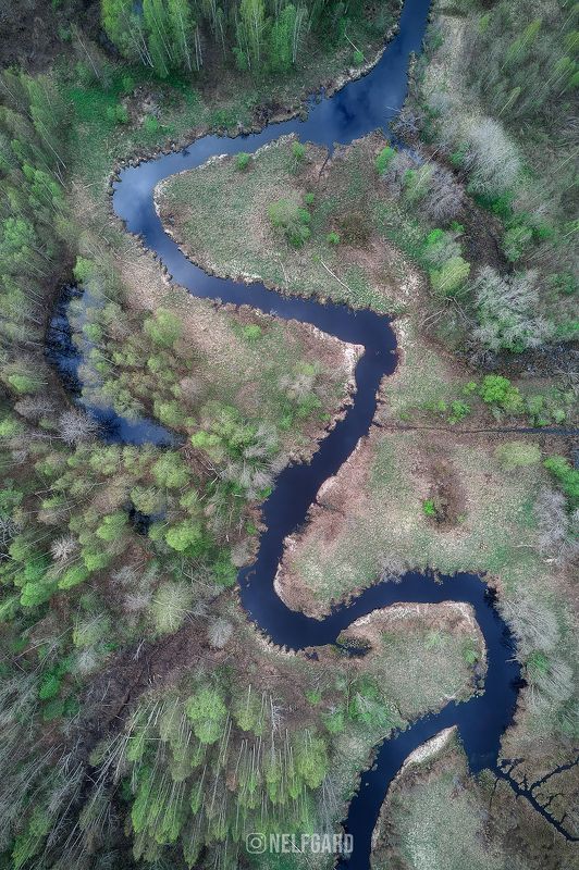 Изгибы фото превью