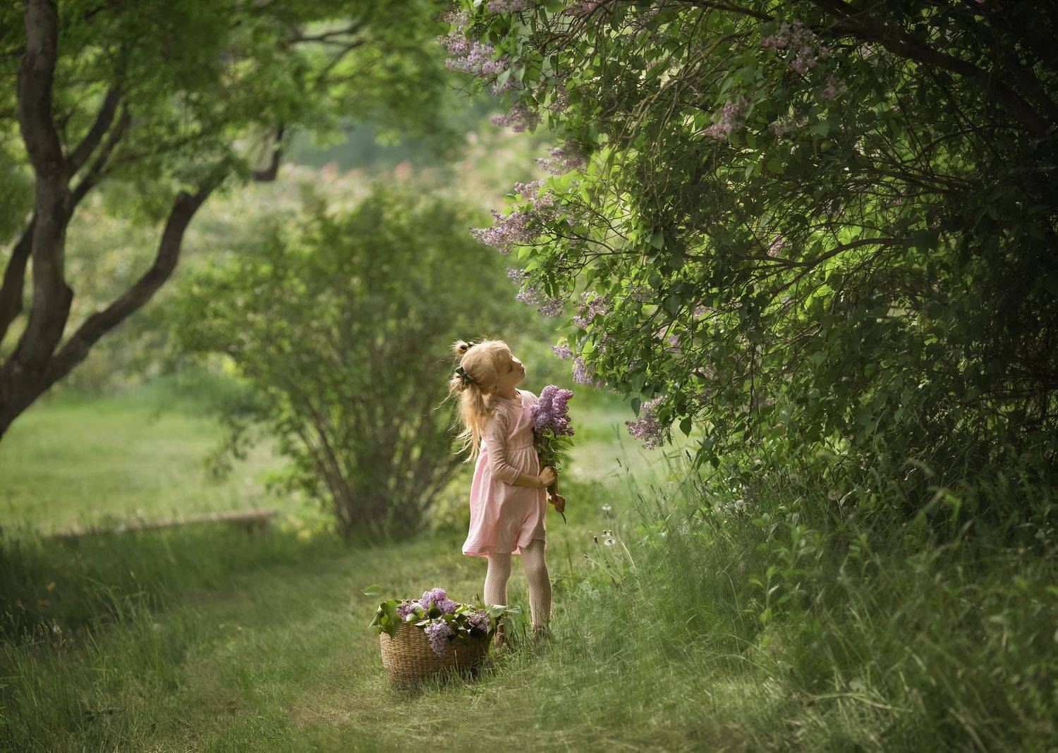 Алиса. Автор: Наумова Светлана сирень, дети, природа,лето, Наумова Светлана