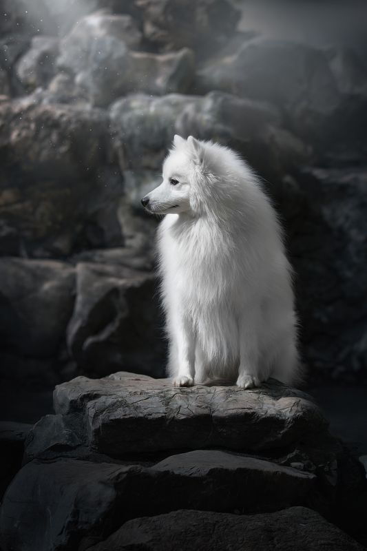 Магияphoto preview