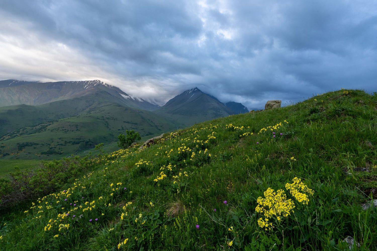 Кавказ. Автор: Баландин Дмитрий кавказ, горы, тучи, цветы, Баландин Дмитрий