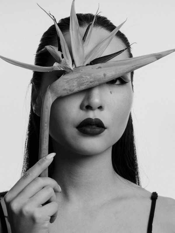 Стрелицияphoto preview