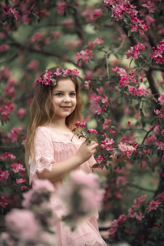 Розовый портретphoto preview